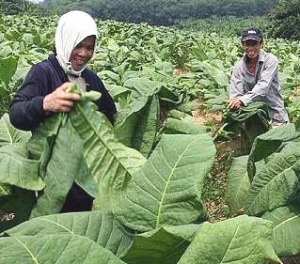 Foto: jateng.tribunnews.com