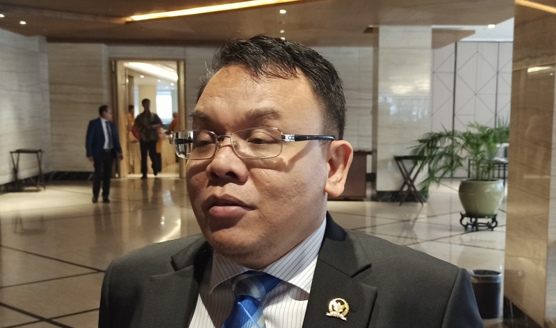 Anggota DPR : Pemerintah Jangan Pikir Panjang, Evakuasi WNI di Kapal Diamond Princess!