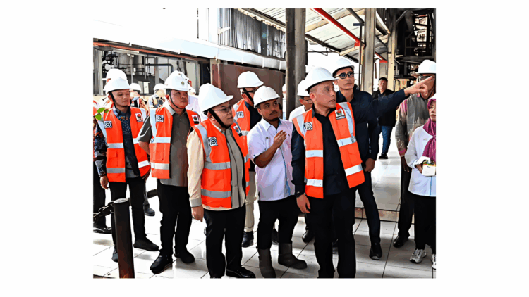 Komisi VII DPR RI Terus Pantau Perkembangan Replanting dan Hilirisasi Industri Kelapa Sawit